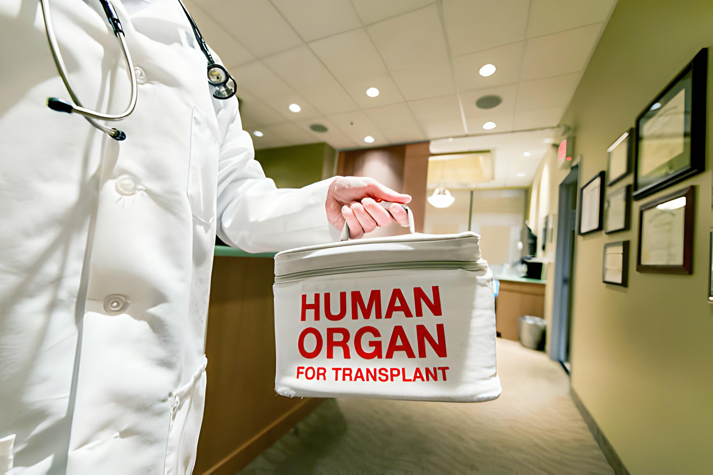Organ and Tissue Transplant | African Medical Services
